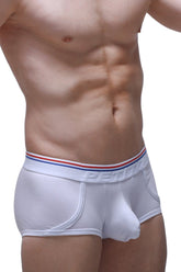 Boxer Morrier Weiß
